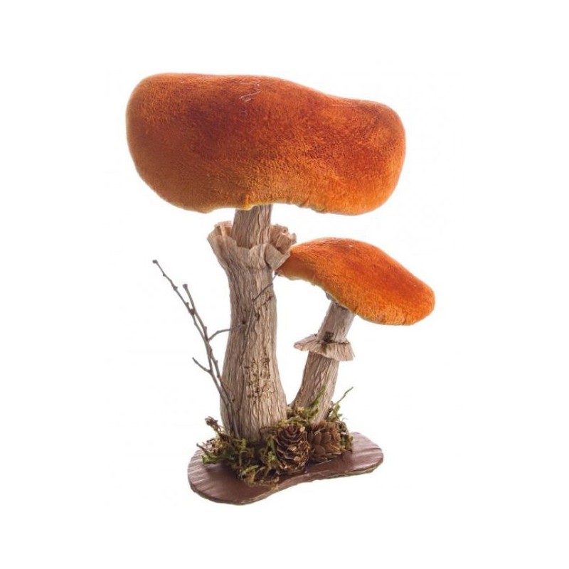 Champignons 2 morceaux d’oeuf d’orange Champignons 2 morceaux d’oeuf d’orange