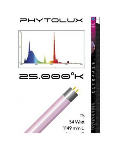 Lámpara de fitolux para planta rosa