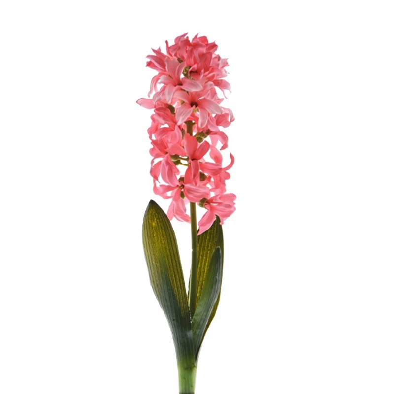 TIGE HYACINTHUS 41CM