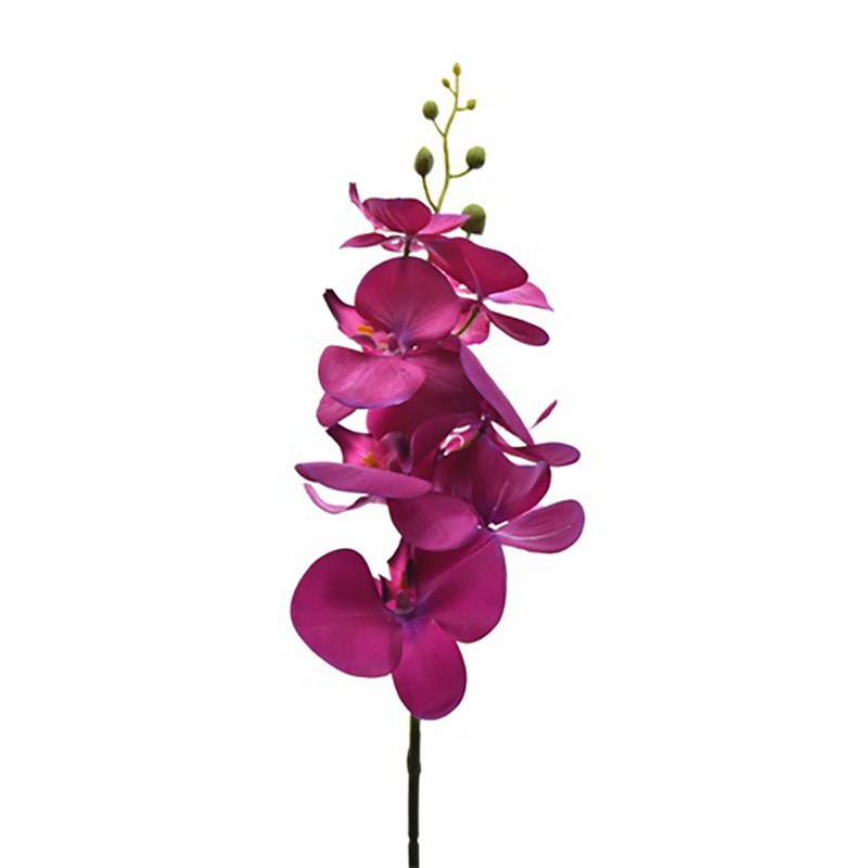 ORCHIDÉE PHALAENOPSIS 7FL