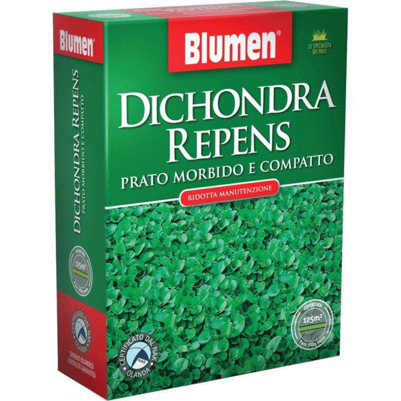 DICHONDRA REPENS 500GR