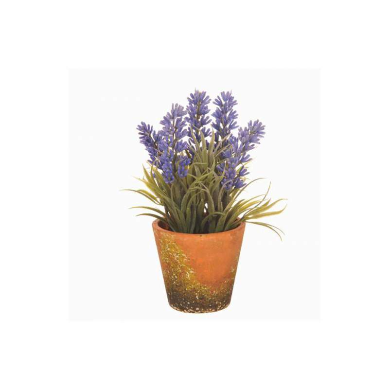 LAVANDA avec VASO H15CM