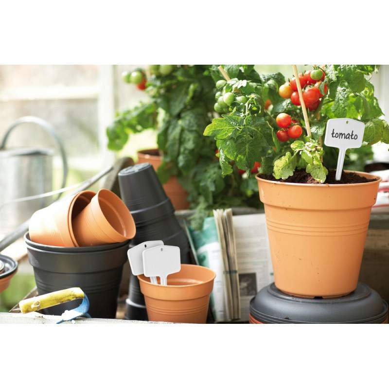 VERDE BASICS PLANTLABELS S BLANCO S / 5 VERDE BASICS PLANTLABELS S BLANCO S / 5