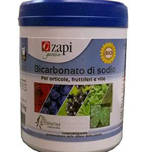 Zapi Bio bicarbonato de sodio para plantas