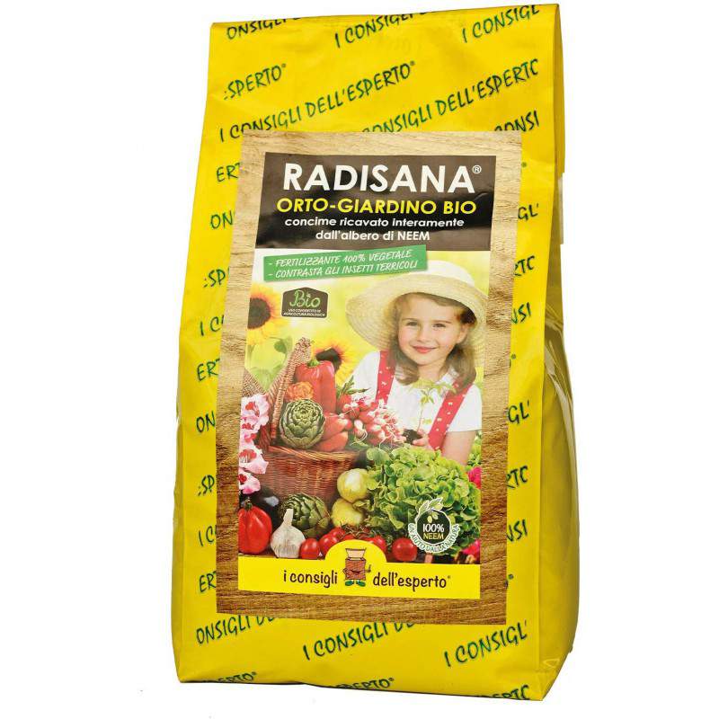 Bolso Radisana