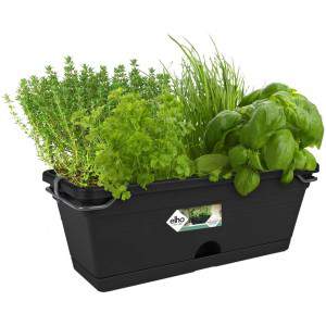 Elho Green Basics Trough Mini Allin1 30 - Jardinera - Verde hoja - Exterior y balcón - L 30,2 x W 19,5 x H 15,6 cm