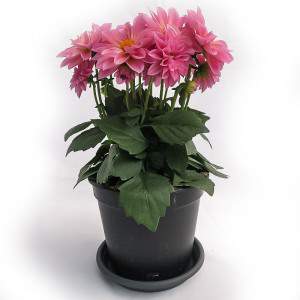 VASE DALIA 14cm ROSE