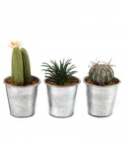 Planta artificial de cactus...