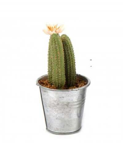 Planta artificial de cactus...
