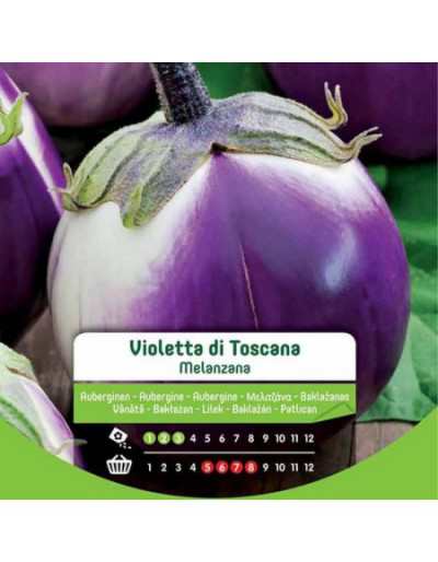 Toskanska violett aubergine...