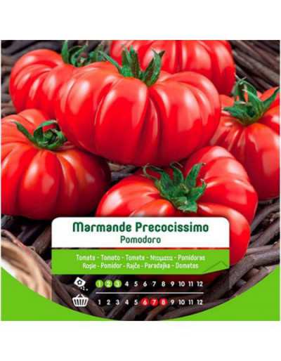 Semillas de tomate Marmande...