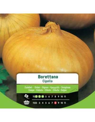 Nasiona cebuli Borettana w...
