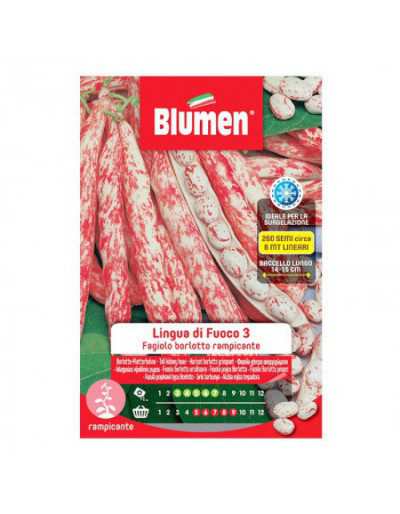 Borlotto Bean Seeds...