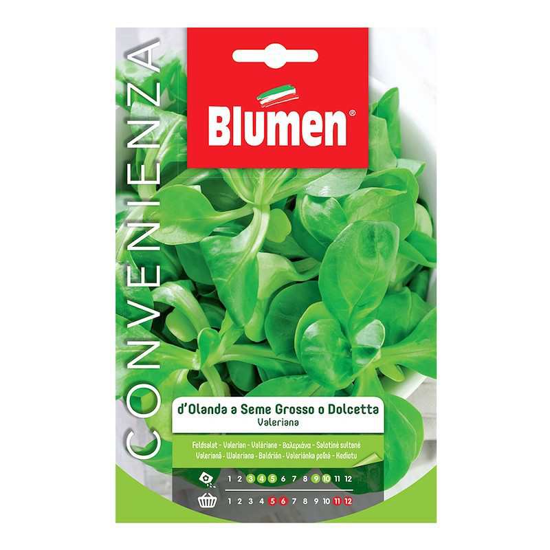 Semillas de valeriana... Semillas de valeriana...