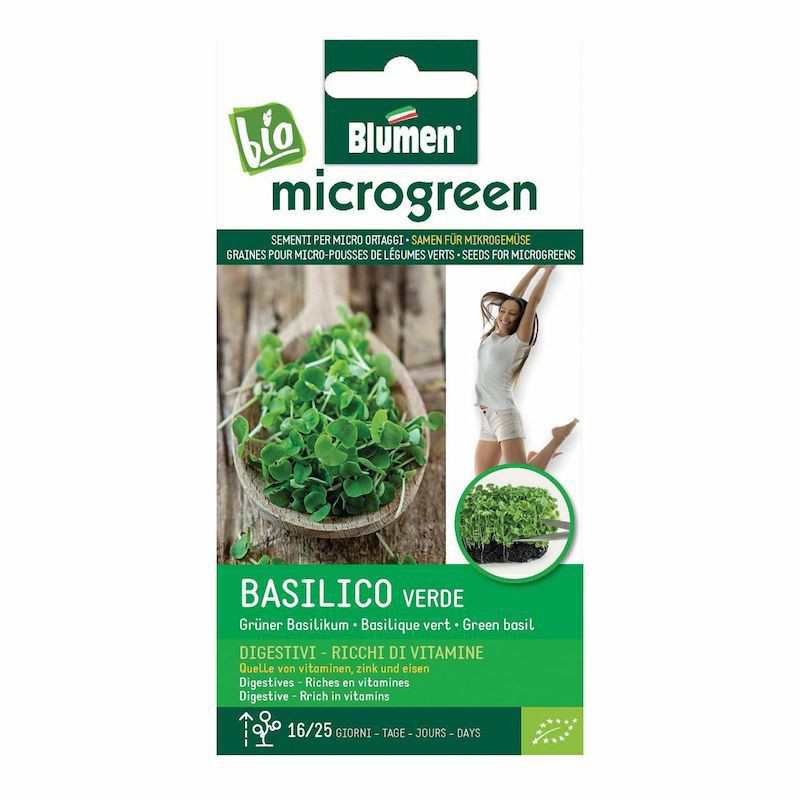 Semillas para microgermogli... Semillas para microgermogli...