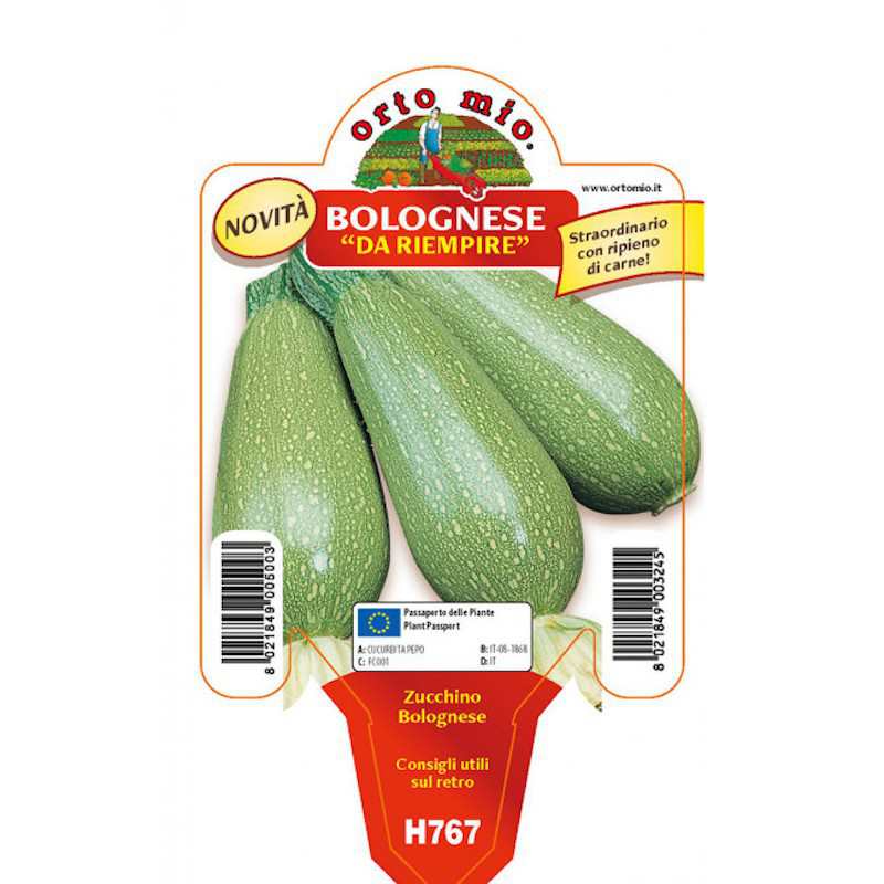 Zucchini Bolognese för att...