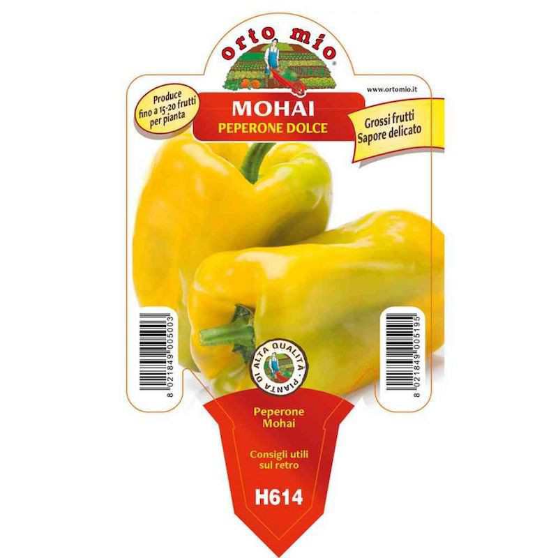 Gelbe Mohai-Pfefferpflanze...
