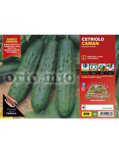 Classic Cucumber Plants...