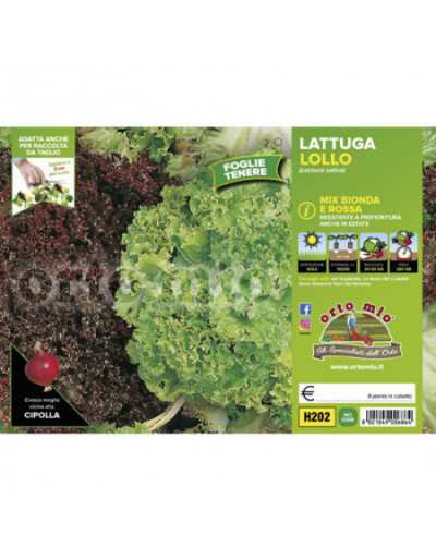 Lettuce plants Lollo Mix...