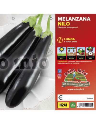 Long Nile Eggplant Plants F1