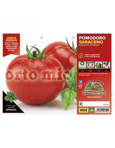 Plantas de tomate Saraceno...