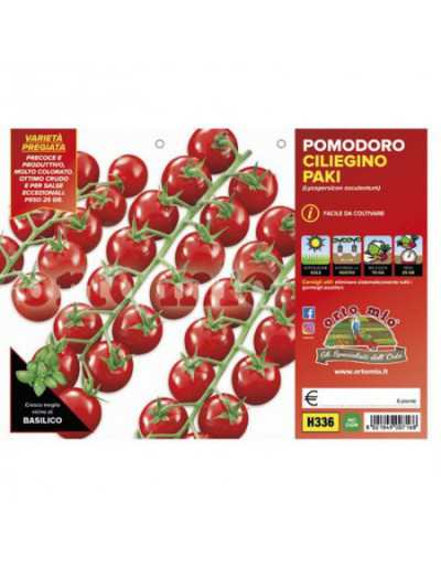 Plantas de tomate cherry...