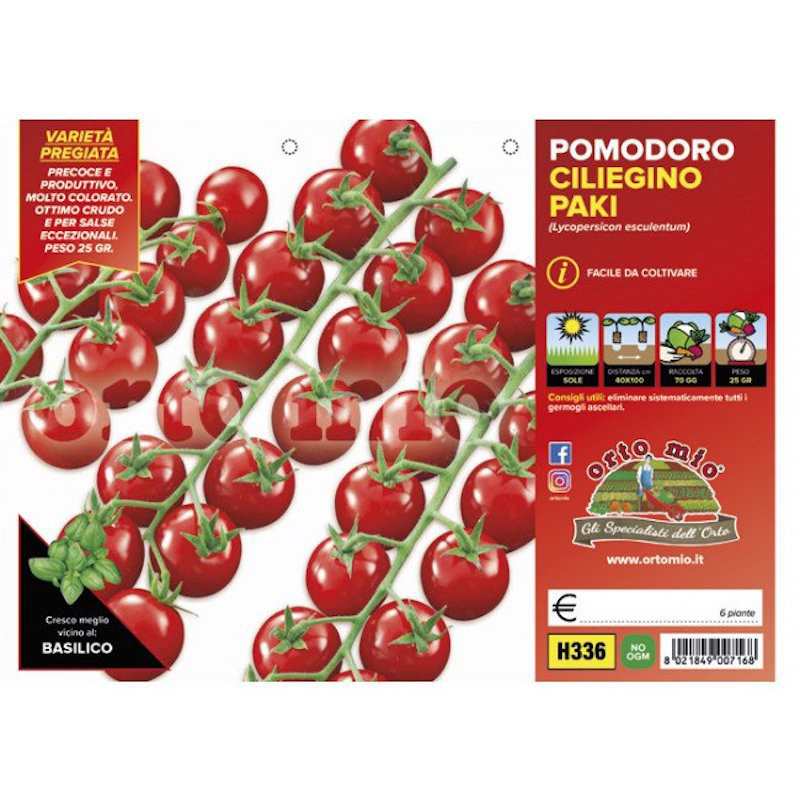 Plants de tomates cerises...
