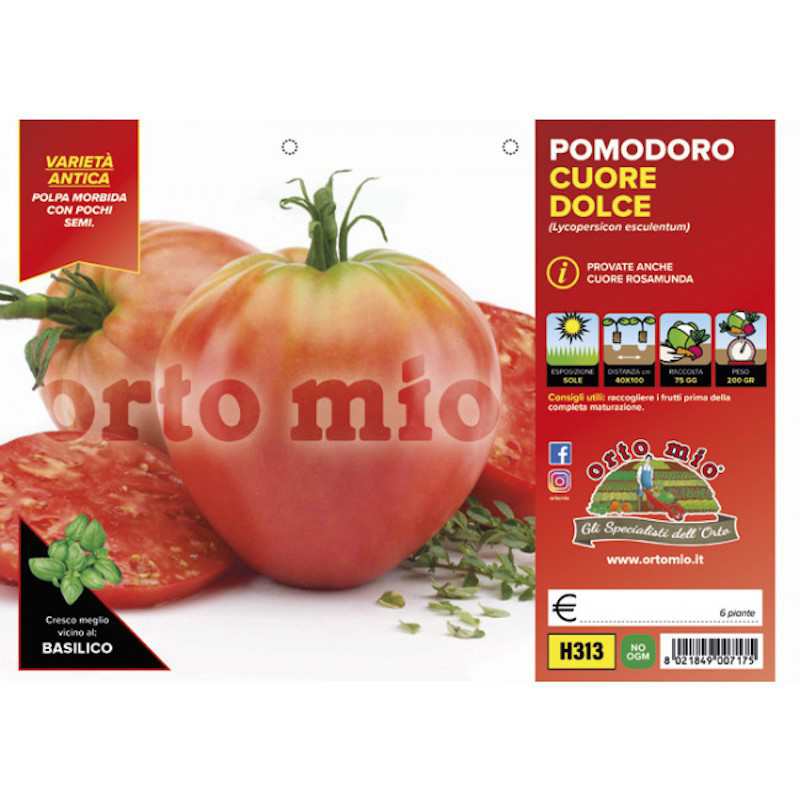 Plantas de tomate Classic...