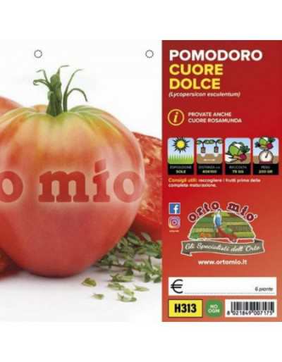 Plantas de tomate Classic...