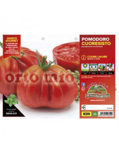 Plants De Tomates Cuore...