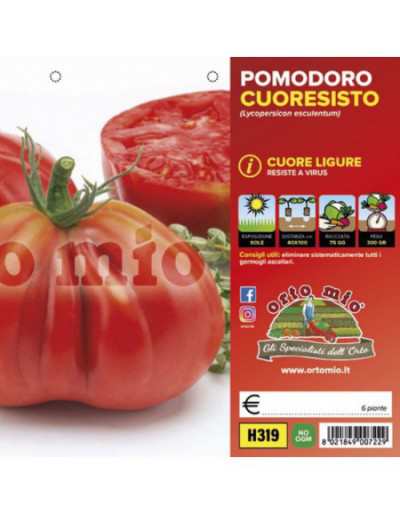 Plants De Tomates Cuore...