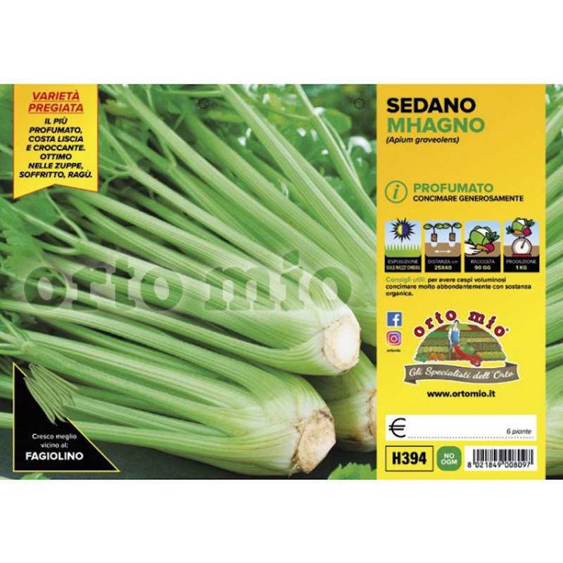 Celery Plants Mhagno F1