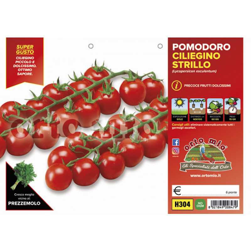 Pomidor czereśniowy Strillo F1
