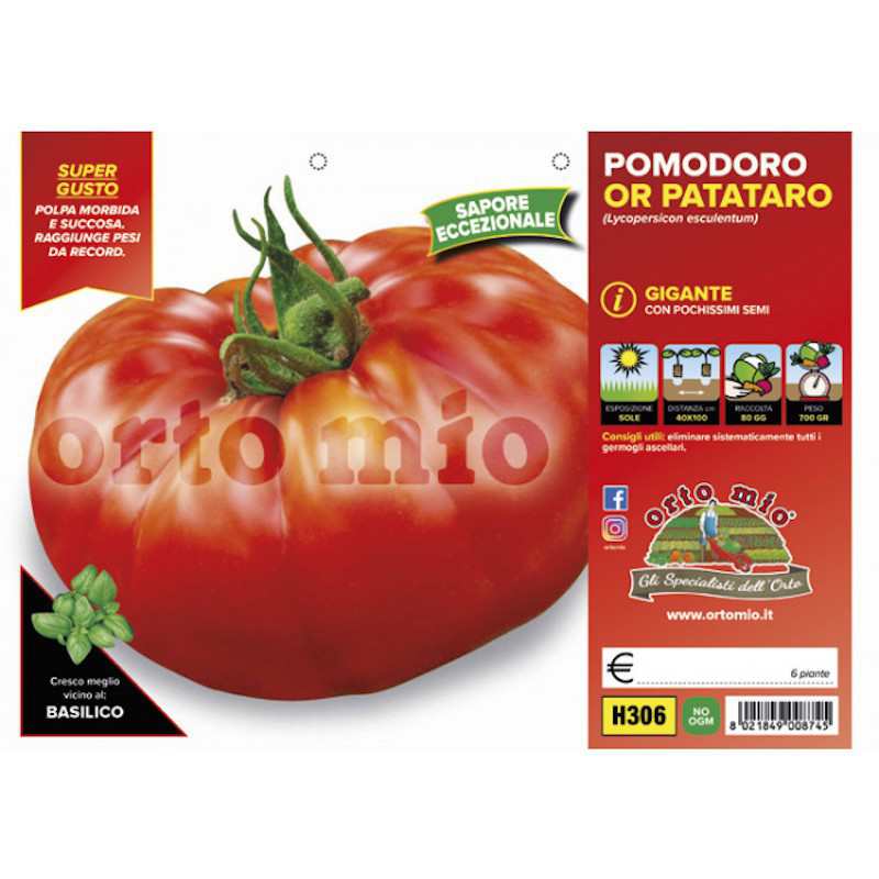 Plants De Tomates Géants Ou...