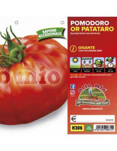 Plantas gigantes de tomate...