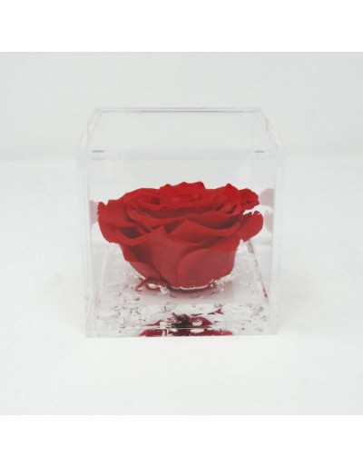 Flowercube 12 x 12 Rosa roja estabilizada