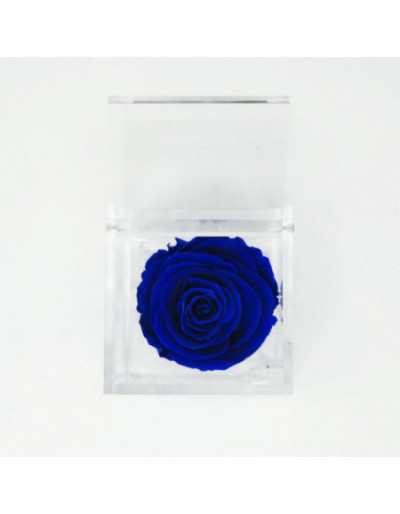 Flowercube 12 x 12 Stabilisiertes Rosenblau