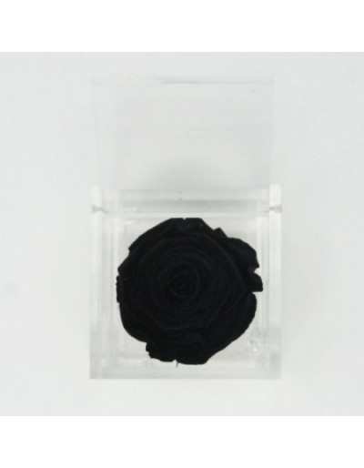 Flowercube 12 x 12 Schwarz Stabilisierte Rose