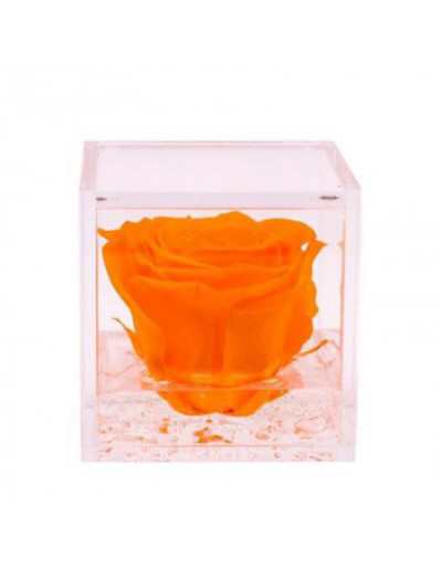 Mini Flowercube 4,5 x 4,5 Stabilisierte Rose mit Orangenduft