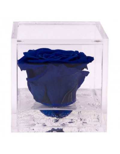 Mini Flowercube 4,5 x 4,5 Azul Perfumado Rosa Estabilizada