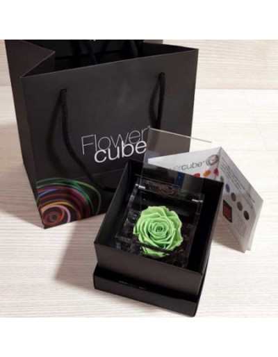 Mini Flowercube 4,5 x 4,5 Grüne parfümierte stabilisierte Rose