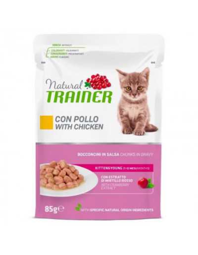 GATINHO NATURAL COM FRANGO 85GR