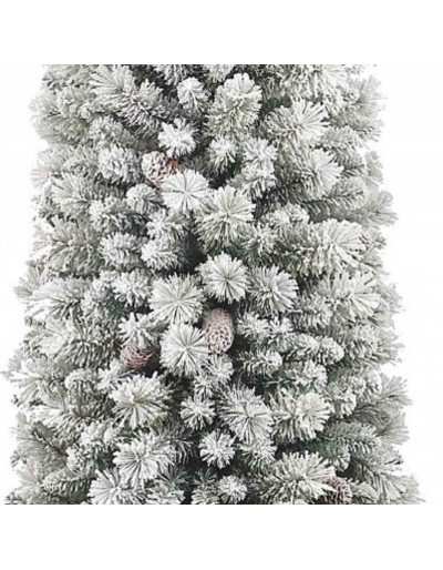 Schneebedeckter schlanker Crestone Peak-Weihnachtsbaum