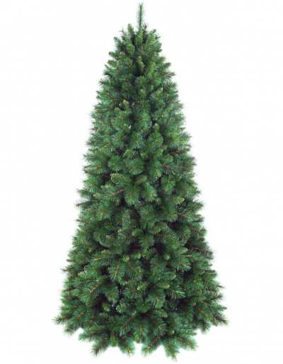 Árbol de hoja perenne delgado de pino navideño de pico verde