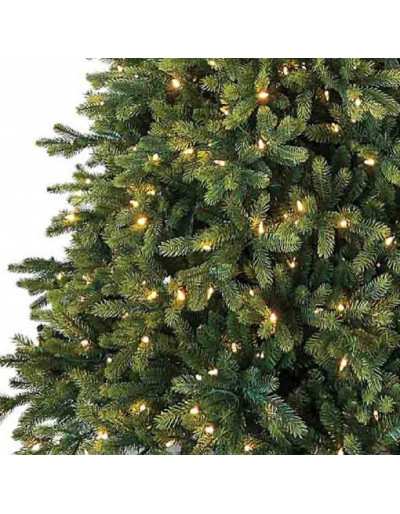 Sapin de Noël à feuilles persistantes de Poly Cumberland