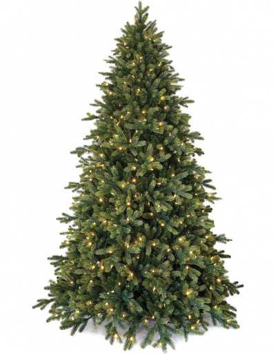 Sapin de Noël à feuilles persistantes de Poly Cumberland