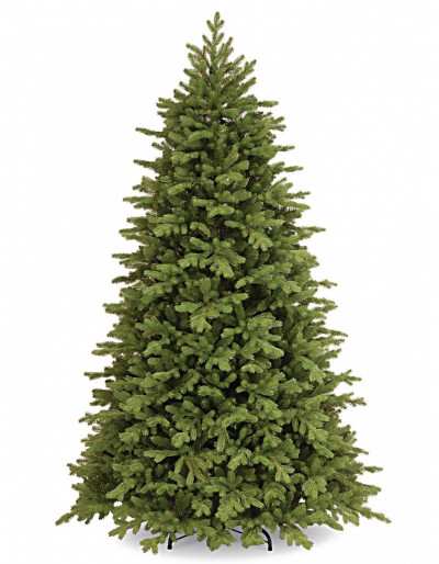 POLY PRINCETON FRASER Evergreen Christmas fir