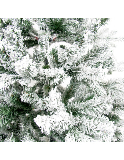 Sapin de Noël enneigé...