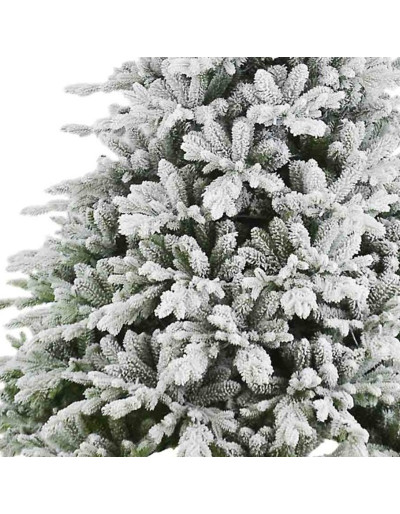 Poly Snowy Stuart Sain de...
