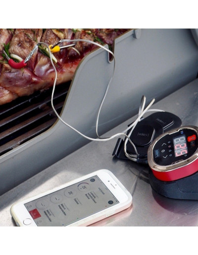 TERMONETRO DIGITALE IGRILL 2